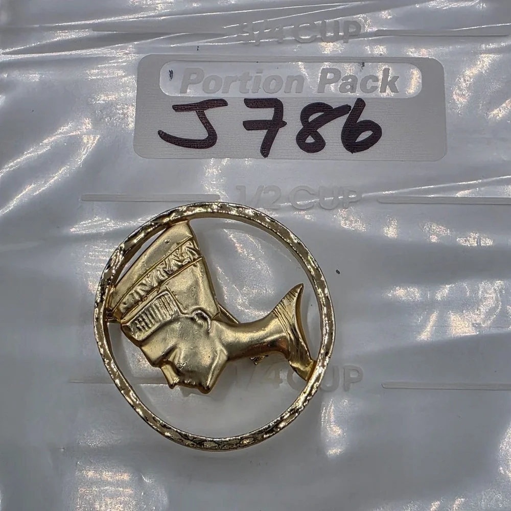 Nefertiti Bust Pendant Brooch Gold Tone‎ Circular Frame Egyptian Queen Jewelry
